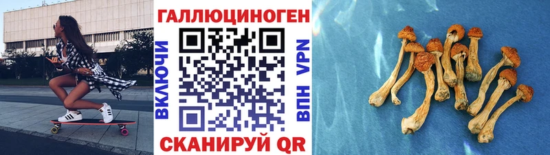 Галлюциногенные грибы MAGIC MUSHROOMS  купить наркотик  Вышний Волочёк 